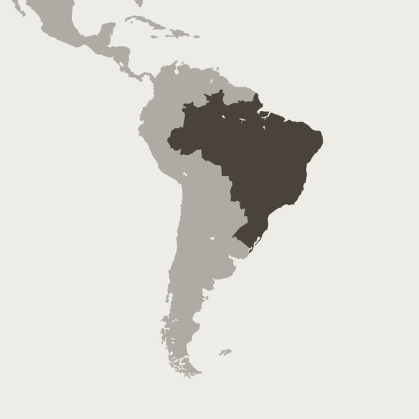 Brazil-Map-Coffee-Beans