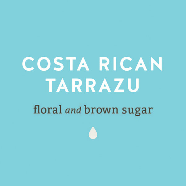 Costa Rican Tarrazu Floral and Brown Sugar Coffee - Lancaster County Coffee