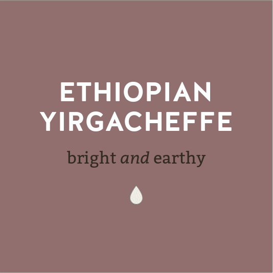 Ethopian Yirgacheffe-Bright and Earthy Coffee - Lancaster County 