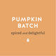 Pumpkin Batch strong and delightful Fall Flavored Coffee - Lancaster County Coffee